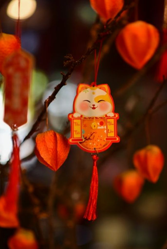 xì tố 8Day