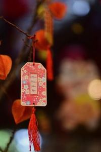 xì tố 8Day